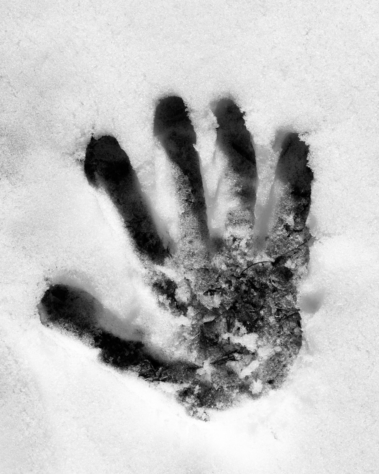 Steve Giasson. Performance invisible n&deg; 289 (Laisser une marque (malgr&eacute; tout)). Reenactment de Michal Kern. Prv&yacute; sneh, prv&yacute; dotyk, prv&aacute; stopa [Premi&egrave;re neige, premier contact, premi&egrave;re empreinte]. 1984. Performeur : Steve Giasson. Cr&eacute;dit photographique : Martin Vinette. Retouches photographiques : Charles-&Eacute;tienne Lebrun. 21 f&eacute;vrier 2024.