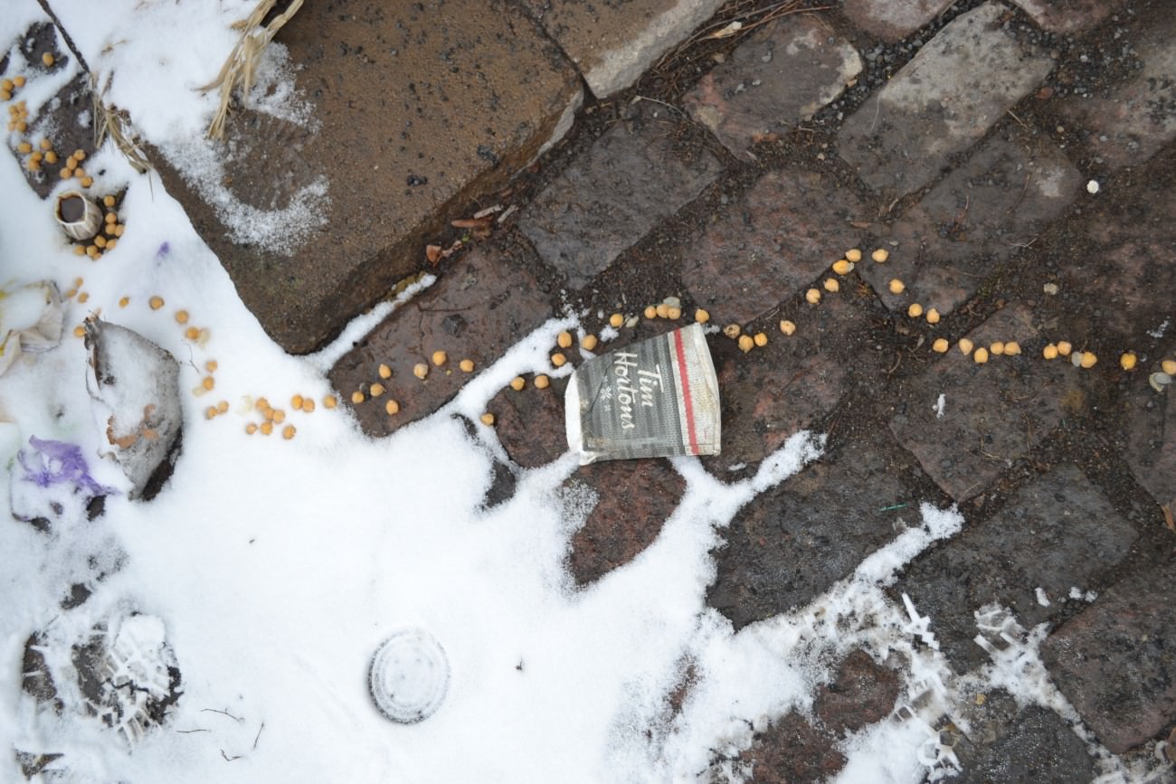 Steve Giasson. Performance invisible n° 79 (Aligner discrètement plusieurs objets quelconques quasiment identiques).
Performeur : Andrea Cartas Garcia. Crédit photographique : Andrea Cartas Garcia. 8 mars 2018.