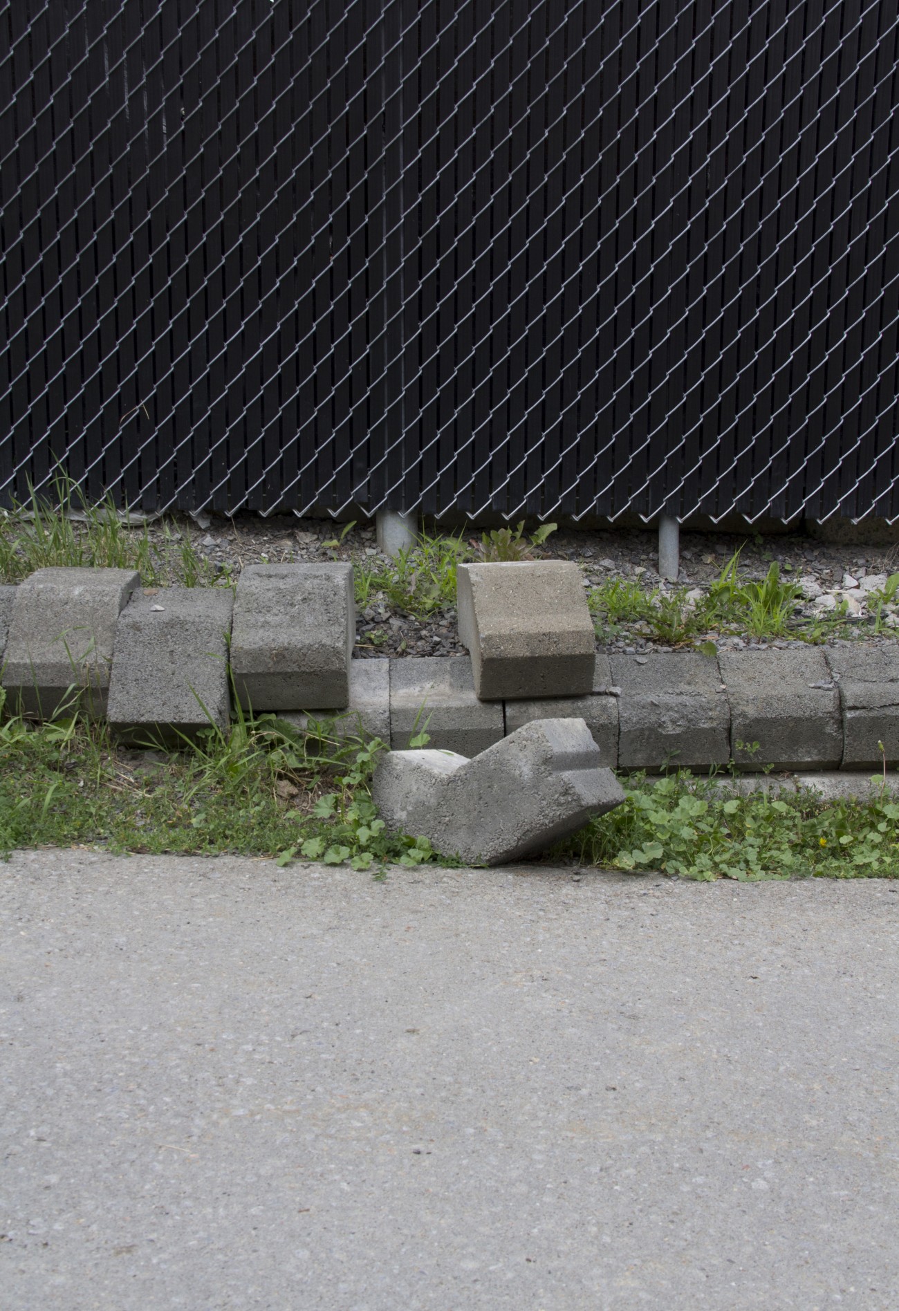 Steve Giasson. Performance invisible n° 6 (Remettre une pierre à sa place (dans un mur, dans un trottoir, dans un lac).) Performeur : Steve Giasson. Crédit photographique : Daniel Roy. 27 juin 2015.