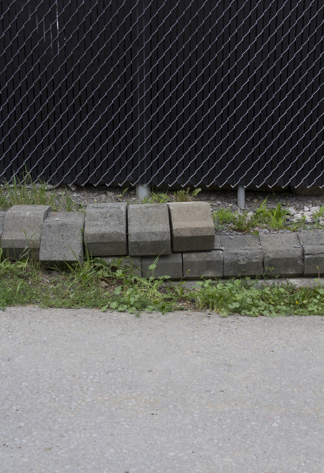 Steve Giasson. Performance invisible n° 6 (Remettre une pierre à sa place (dans un mur, dans un trottoir, dans un lac).) Performeur : Steve Giasson. Crédit photographique : Daniel Roy. 27 juin 2015.