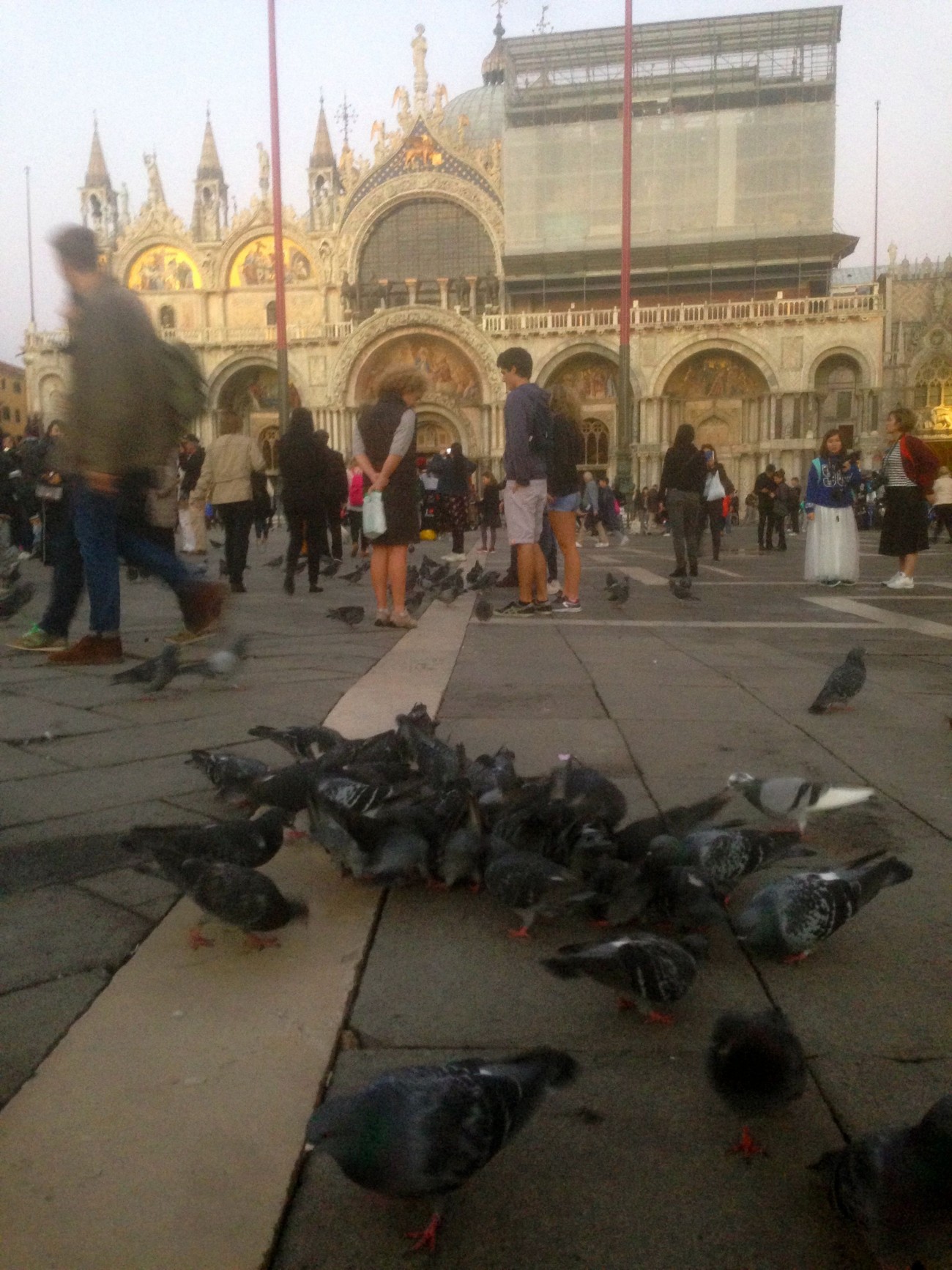 Performance invisible n° 124 (Nourrir des pigeons avec de la brioche). D'après Mladen Stilinović. Cakes. 1994. D'après Mladen Stilinović. For Marie Antoinette. 1998. D'après Maurizio Cattelan, Turisti, 1997. 56. Esposizione Internazionale d’Arte. Biennale di Venezia 2015. Piazza San Marco, Venise.  Performeur : Patrice Loubier. Crédit photographique : Patrice Loubier.