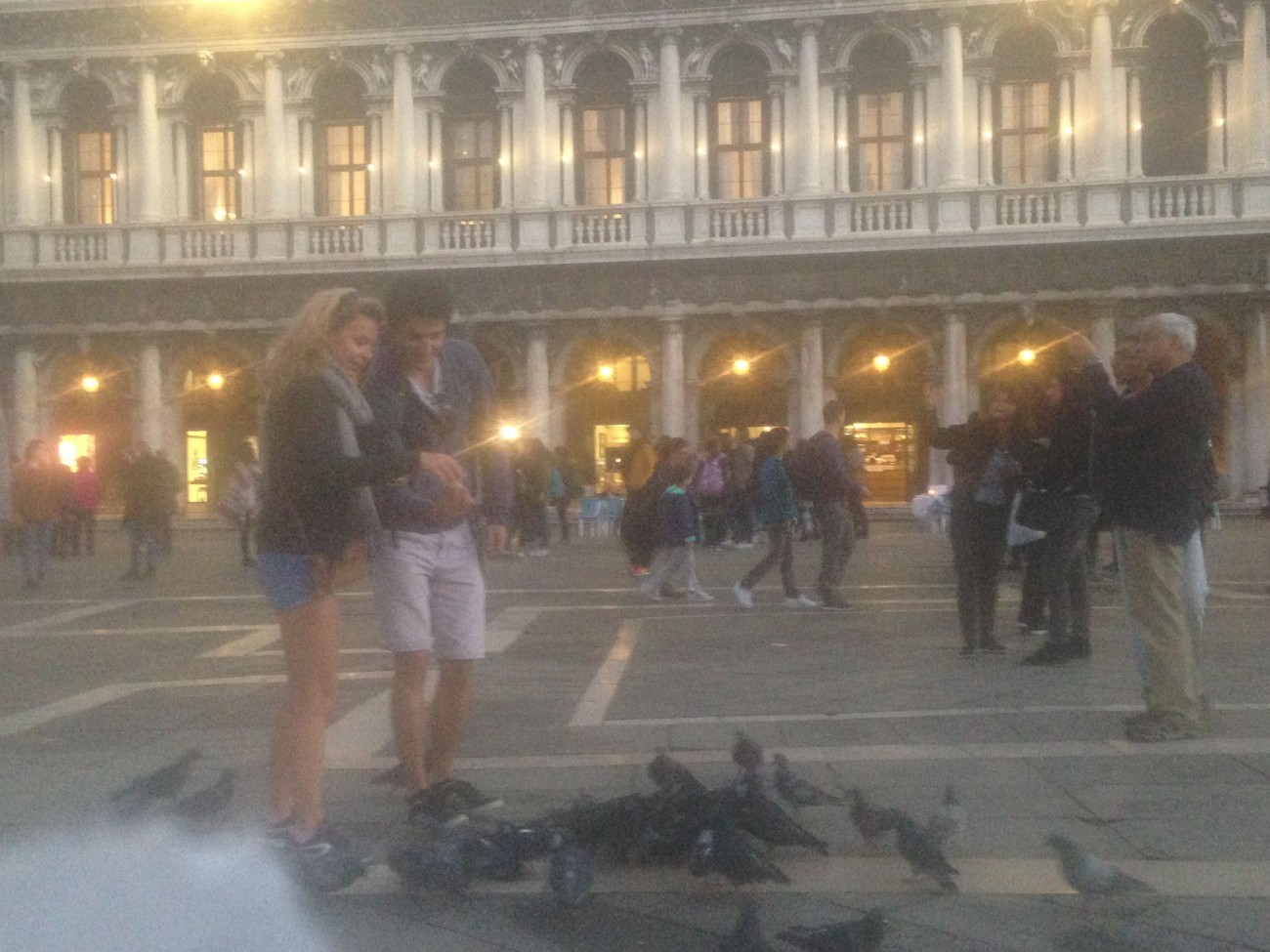 Performance invisible n° 124 (Nourrir des pigeons avec de la brioche). D'après Mladen Stilinović. Cakes. 1994. D'après Mladen Stilinović. For Marie Antoinette. 1998. D'après Maurizio Cattelan, Turisti, 1997. 56. Esposizione Internazionale d’Arte. Biennale di Venezia 2015. Piazza San Marco, Venise.  Performeurs : Anonymes. Crédit photographique : Patrice Loubier.