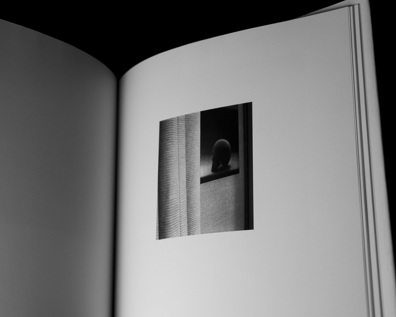 Steve Giasson. Performance invisible n&deg; 226 (Cr&acirc;ner). D'apr&egrave;s Louise Lawler. Untitled. 2001/2002. D'apr&egrave;s Gerhard Richter. Sch&auml;del (545-3) [Cr&acirc;ne]. 1983. In Louise Lawler. 2012. Louise Lawler and/or Gerhard Richter: Photographs and Works. Munich : Schirmer/Mosel. Performeurs : Martin Vinette et Steve Giasson. Cr&eacute;dits photographiques :&nbsp;Martin Vinette et Steve Giasson. Retouches photographiques : Daniel Roy. 9 mars 2021. 
&nbsp;

&nbsp;