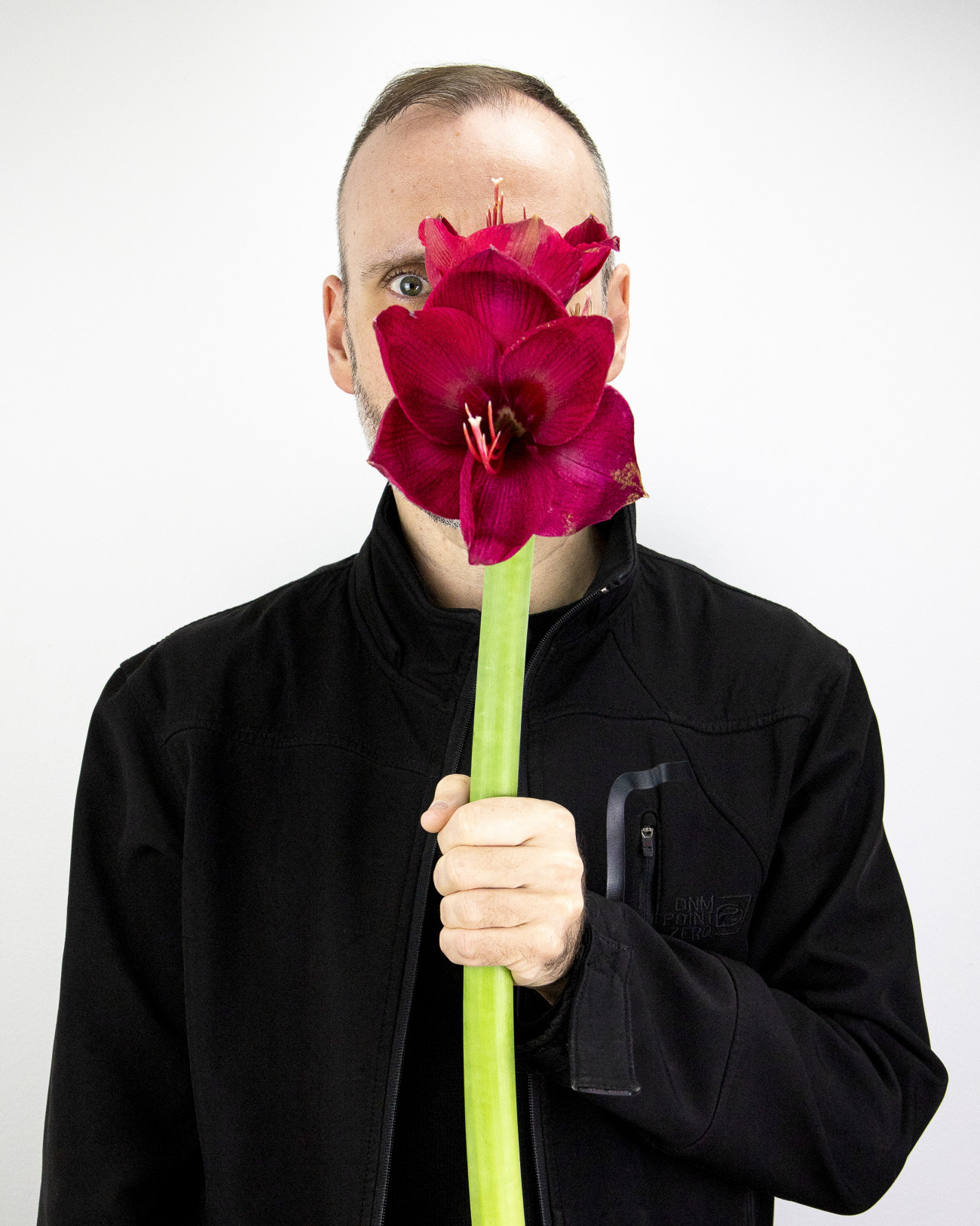 Steve Giasson. Performance invisible n&deg; 235 (Laisser parler les fleurs). D&rsquo;apr&egrave;s Joseph Beuys. La&szlig;t Blumen sprechen [Let Flowers Speak]. 1974. Reenactment de Tony Morgan. Amaryllis. 1976. Performeur : Steve Giasson. Cr&eacute;dit photographique : Martin Vinette. Retouches photographiques : Daniel Roy. 4 avril 2021.